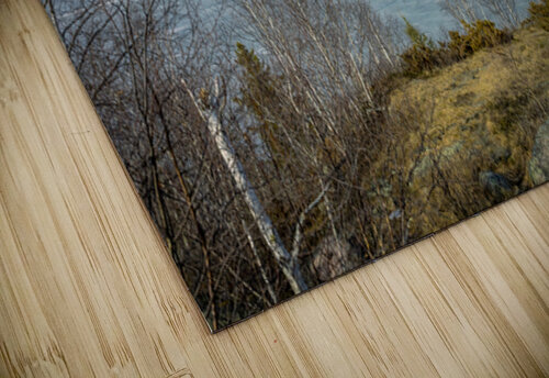 Island on West Hawk Lake Marc Gilbert Photography puzzle