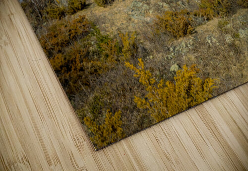 Dragon Fire Trail Marc Gilbert Photography puzzle