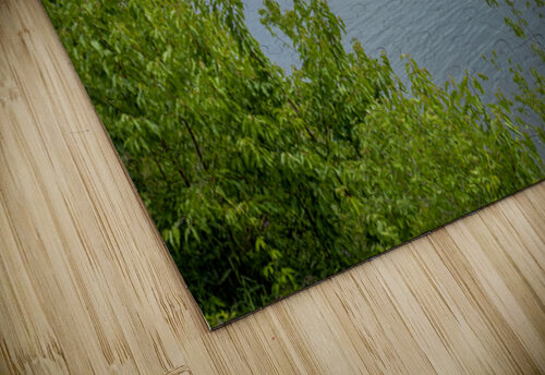 Lake of the Woods Shore Marc Gilbert Photography puzzle