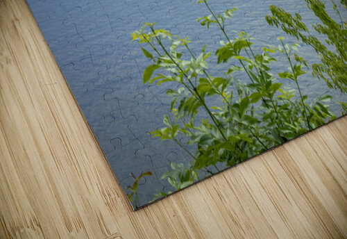 Lake of the Woods View Marc Gilbert Photography puzzle