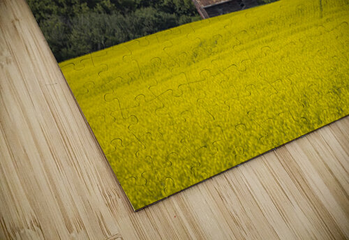 Old Barn and Canola Field Marc Gilbert Photography puzzle