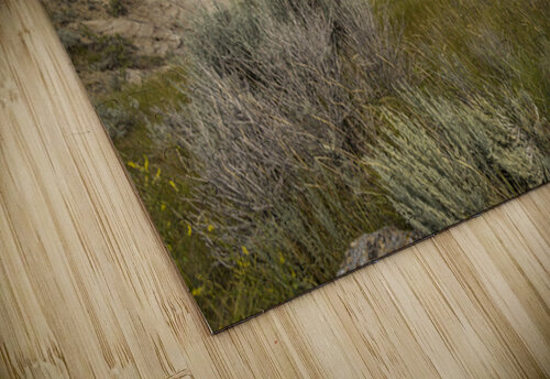 The Badlands Marc Gilbert Photography puzzle