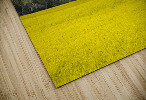 Old Barn and Canola Field Marc Gilbert Photography puzzle