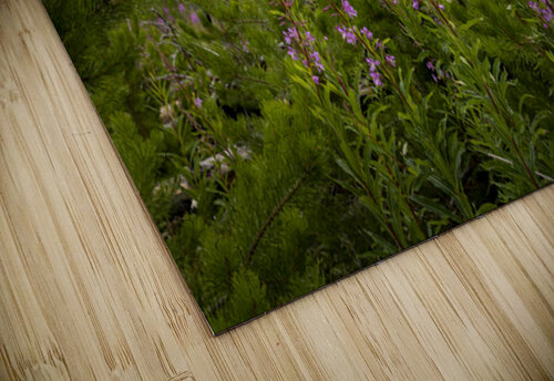 New Life Marc Gilbert Photography puzzle