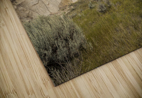 The Badlands Marc Gilbert Photography puzzle