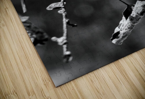 Frosted Edges Marc Gilbert Photography puzzle