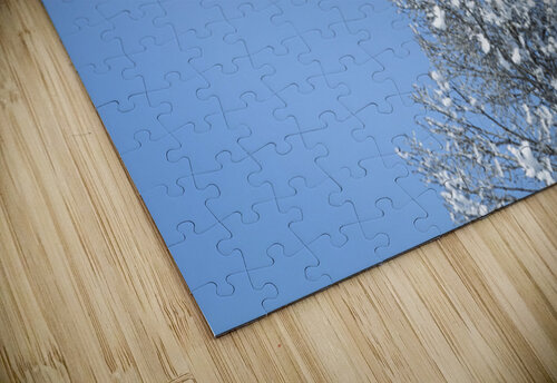 Winter Flight Marc Gilbert Photography puzzle