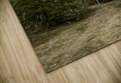 Ancient Beach Trail Marc Gilbert Photography puzzle