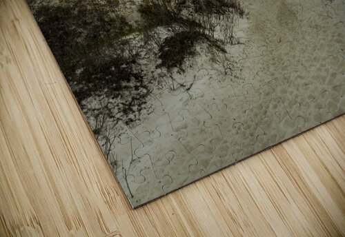 To the Beach Marc Gilbert Photography puzzle