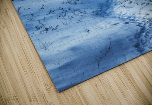 Winter Trail Marc Gilbert Photography puzzle