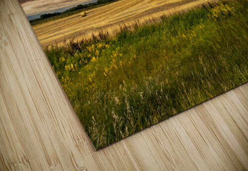 Harvestpocalypse Marc Gilbert Photography puzzle