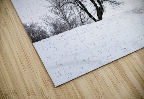 Lone Tree in Hoarfrost Marc Gilbert Photography puzzle