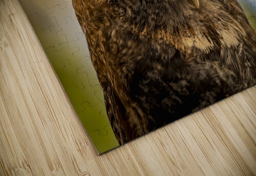 Owl Marc Gilbert Photography puzzle