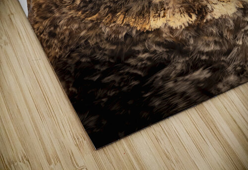 Owls Gaze Marc Gilbert Photography puzzle