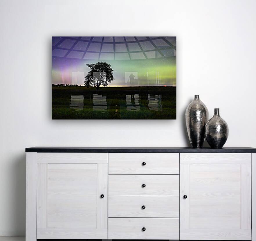 Lone Tree and Northern Lights Reproduction