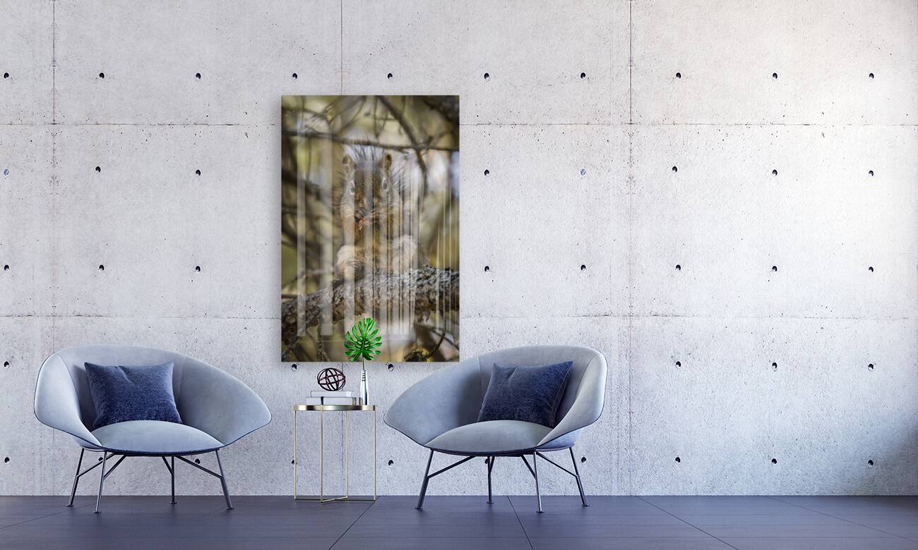 Squirrel in a Tree Reproduction