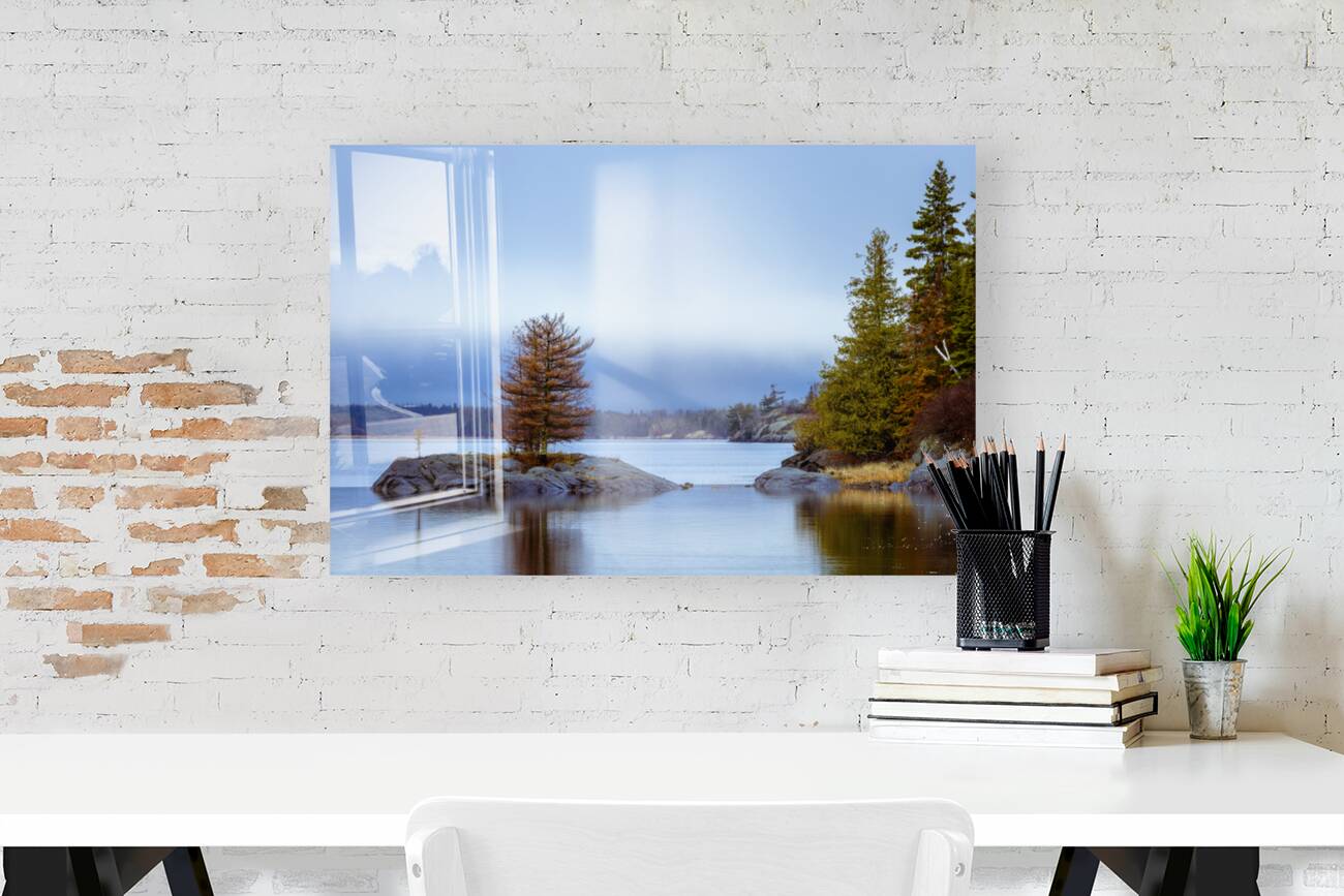 Tree on a Shoal Reproduction