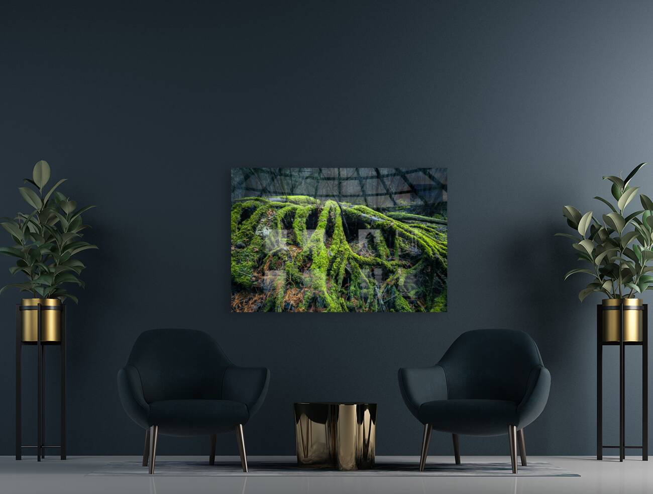 Enchanted Forest Reproduction