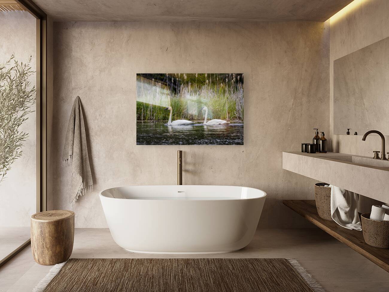 Trumpeter Swans Reproduction