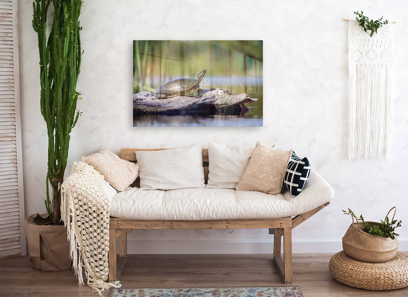 Painted Turtle Reproduction