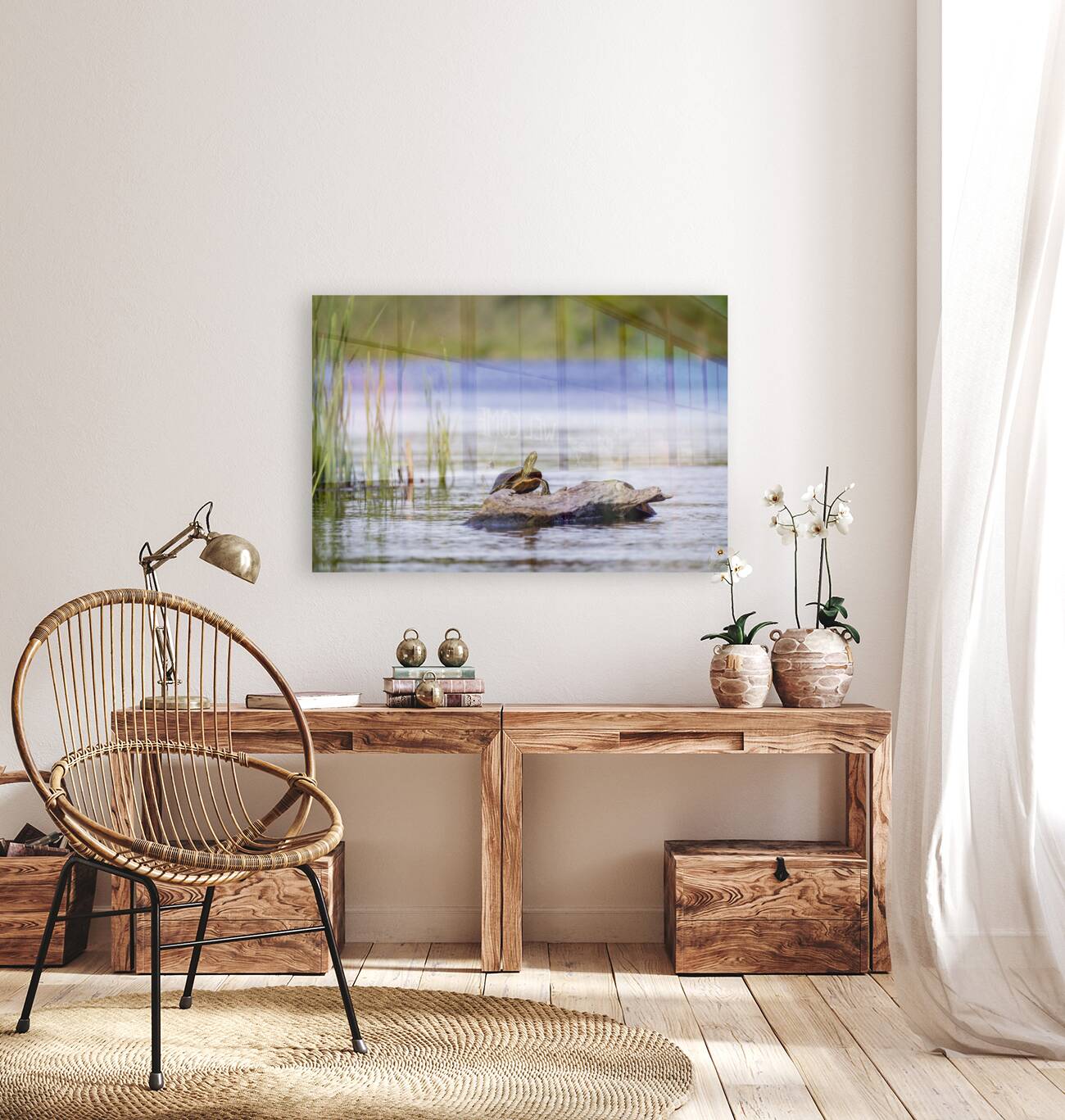 Painted Turtle Reproduction