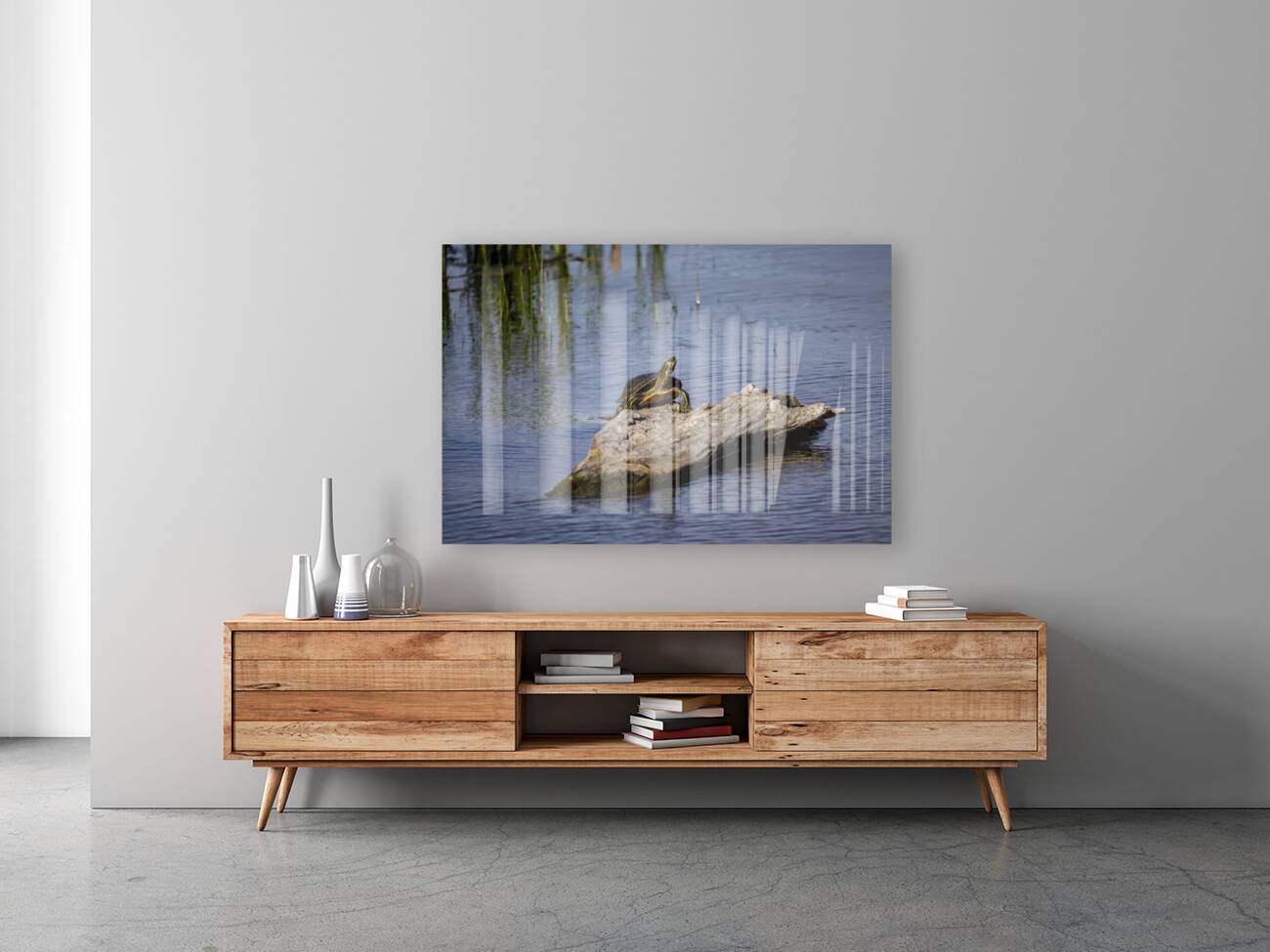 Painted Turtle Reproduction