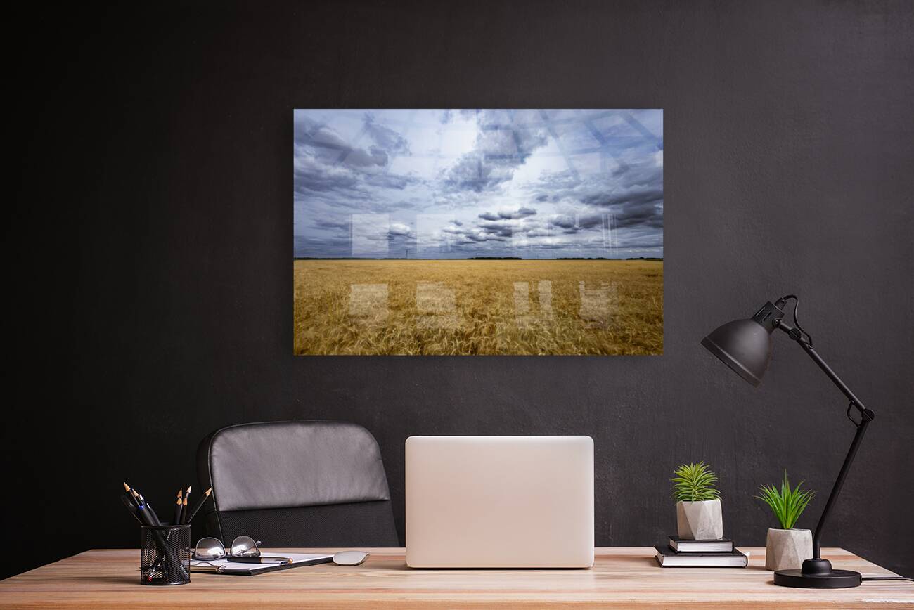 Ripe For Harvest Reproduction