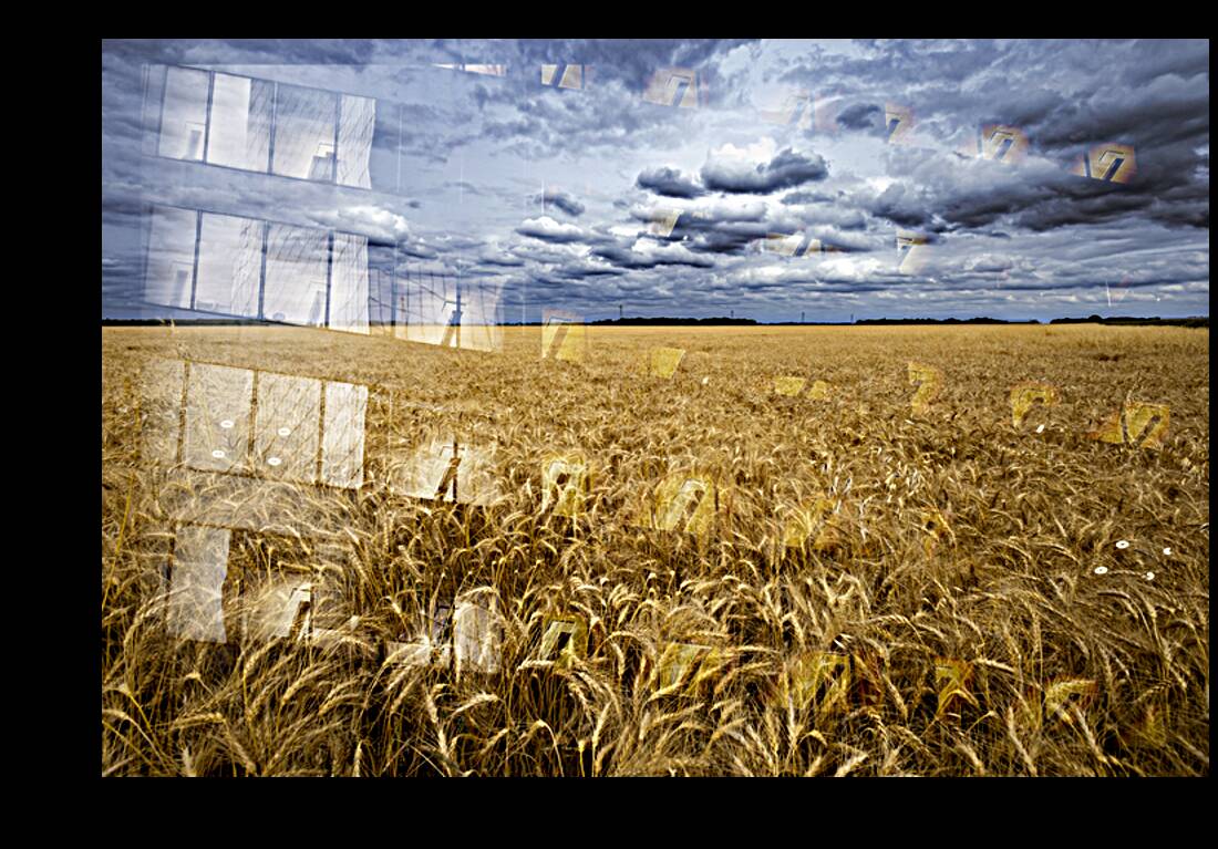 Ripe For Harvest Reproduction