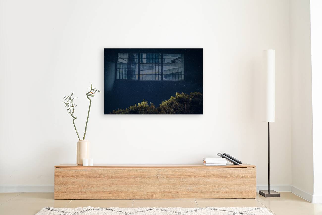 Starry Night Reproduction