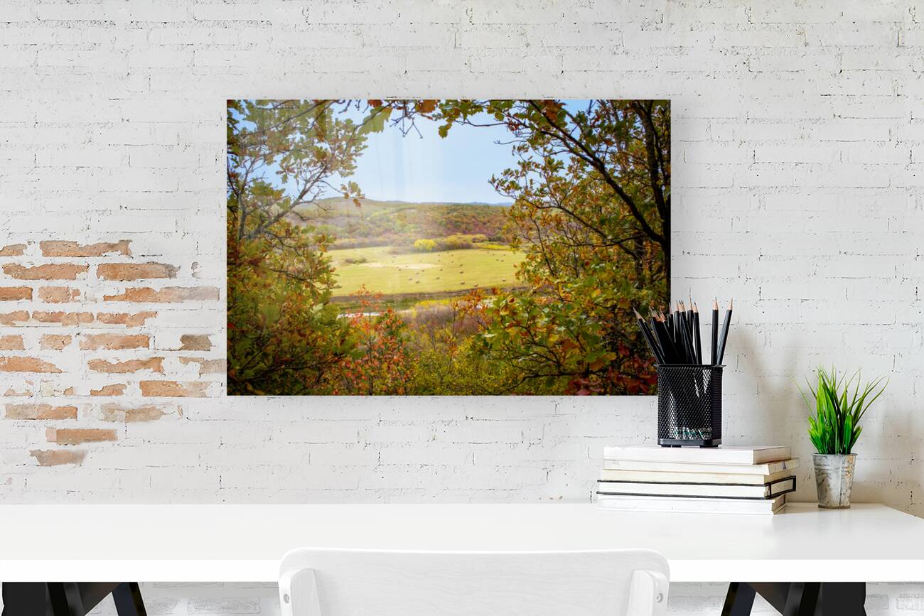 Pembina Valley Reproduction