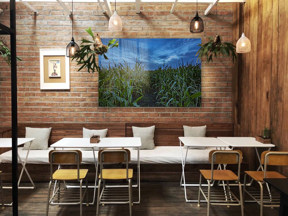 Cornfield at Sunset Reproduction