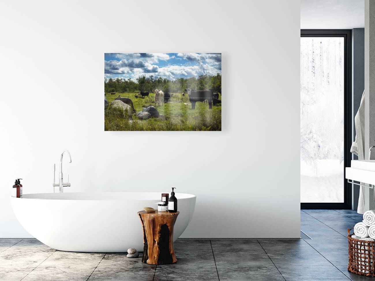 Cattle in Pasture Reproduction