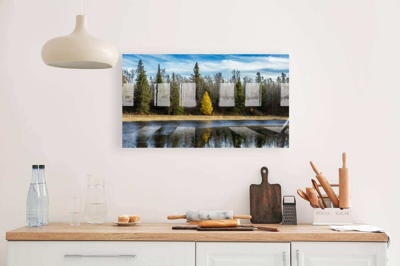 Tamarack Reflection Reproduction