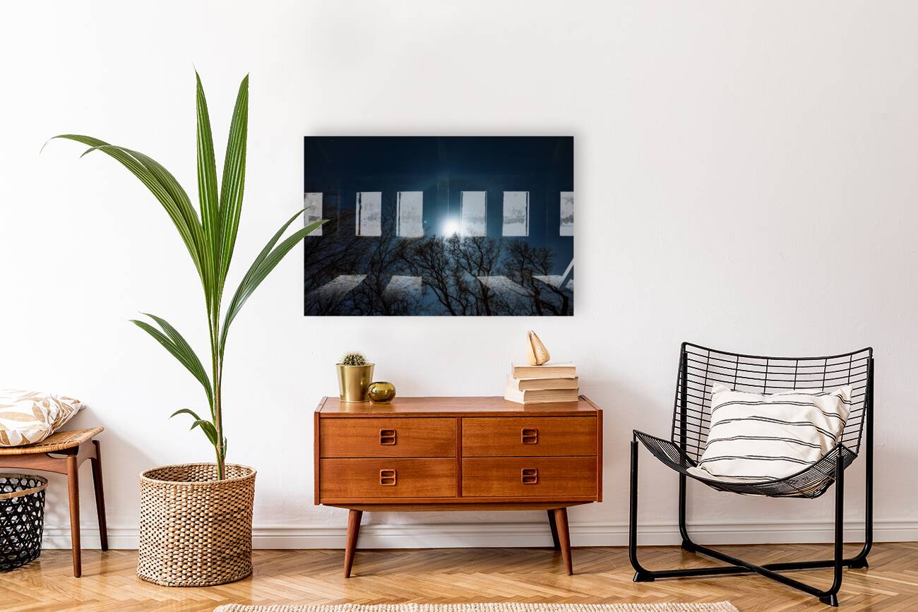 Moon Halo Above the Canopy Reproduction