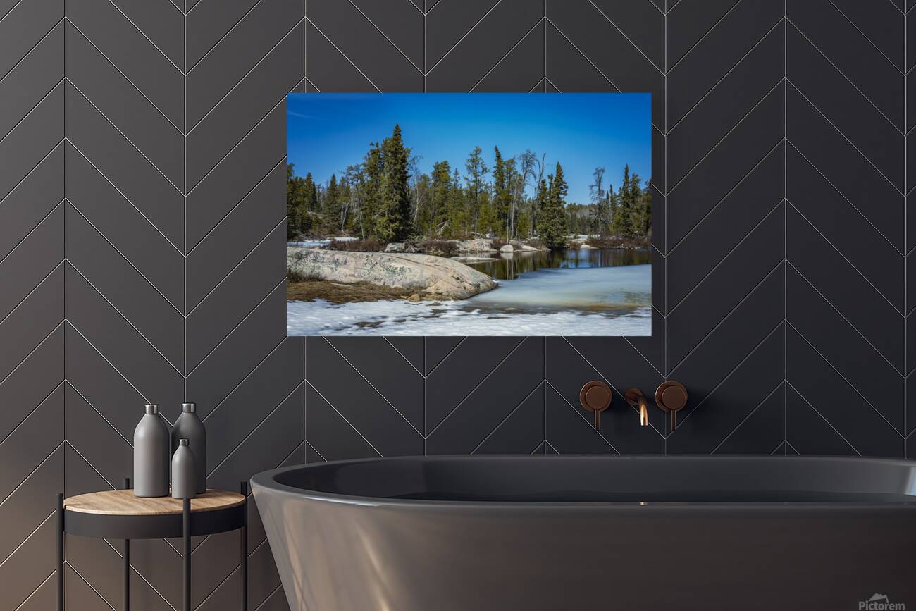 Melting Ice Reproduction