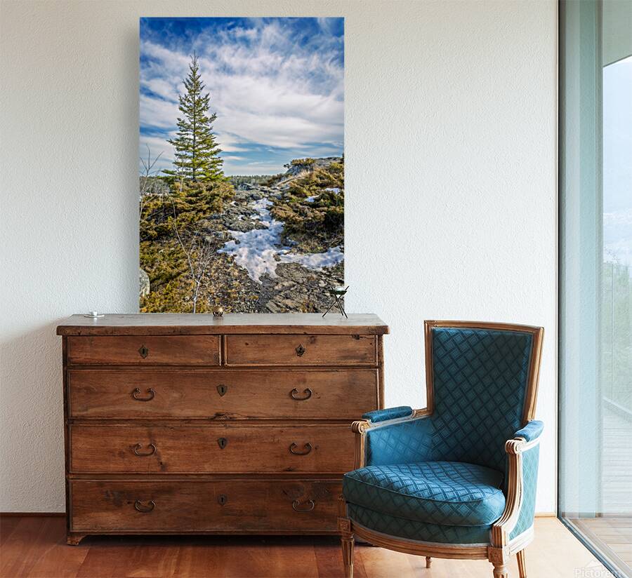 Dragon Fire Trail Reproduction