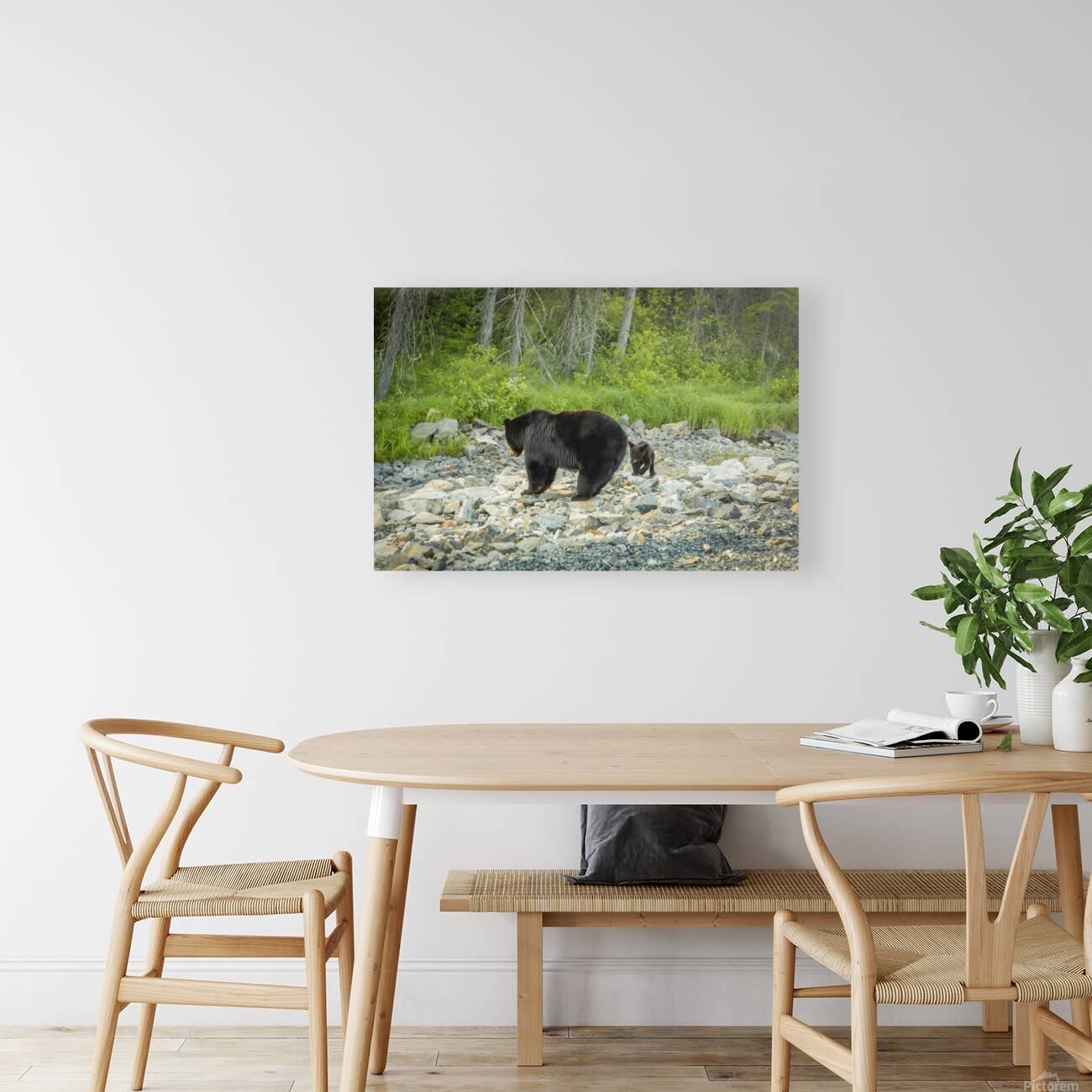 Mama Bear and its Cub Reproduction