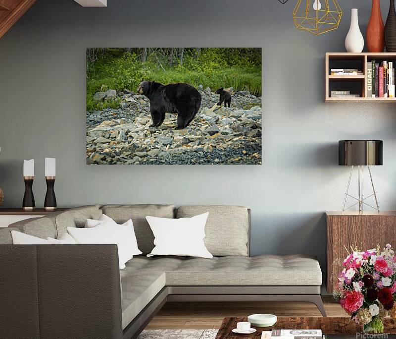 Mama Bear and its Cub Reproduction