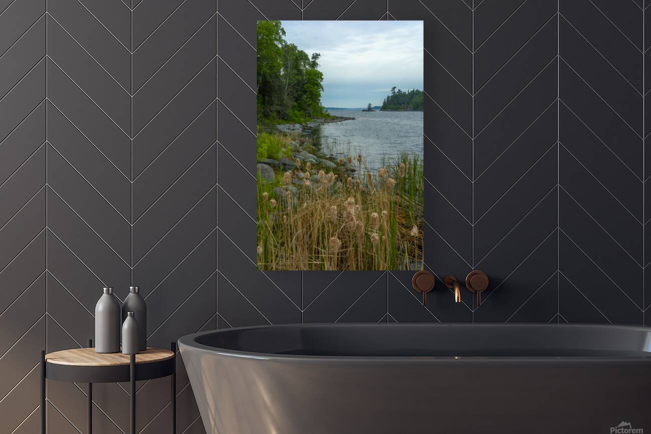 Morning on Shoal Lake Reproduction