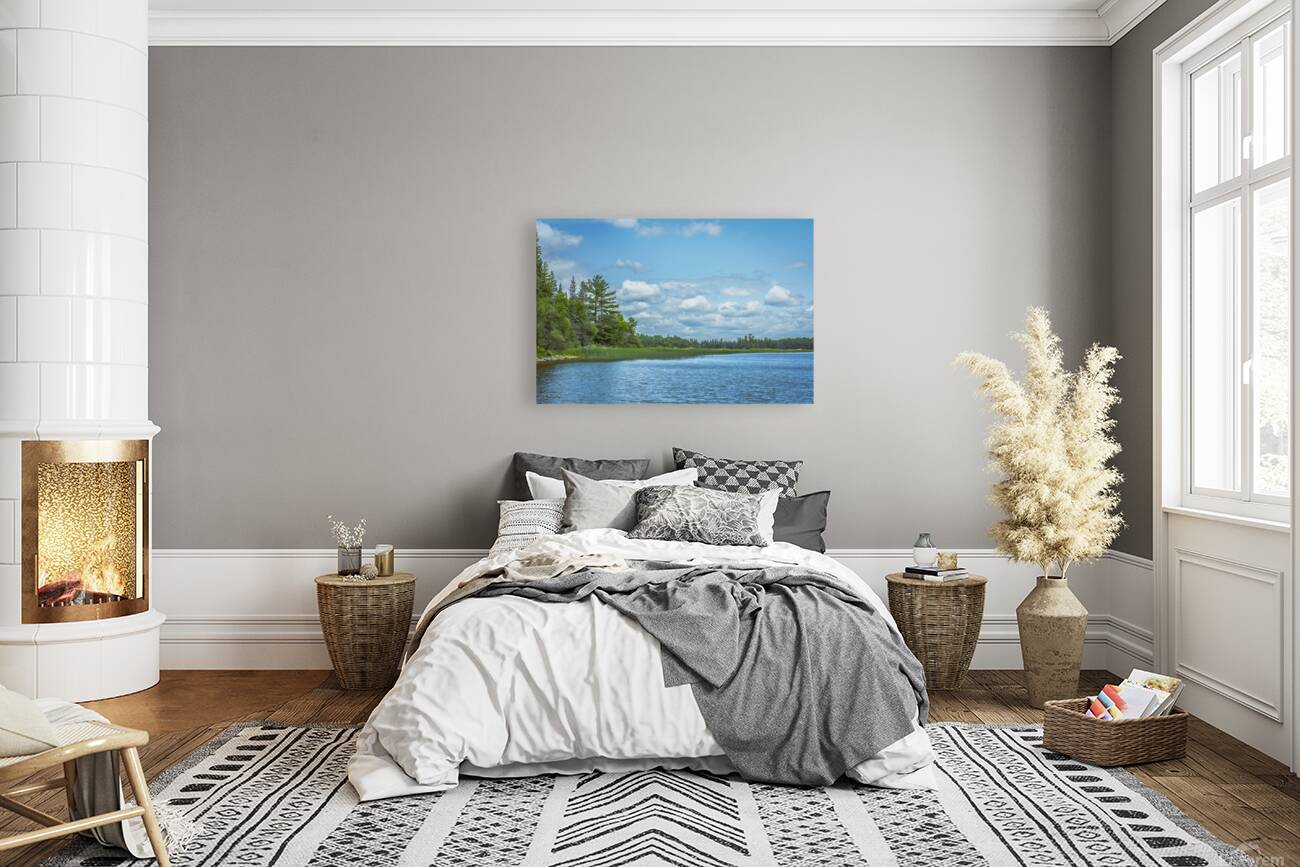 Lake of the Woods View Reproduction