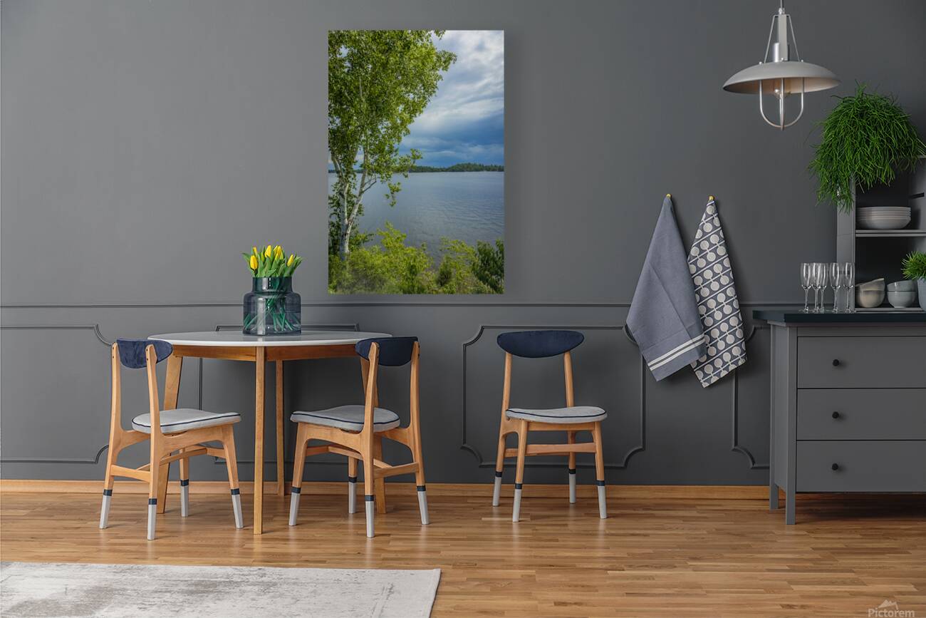 Lake of the Woods Shore Reproduction