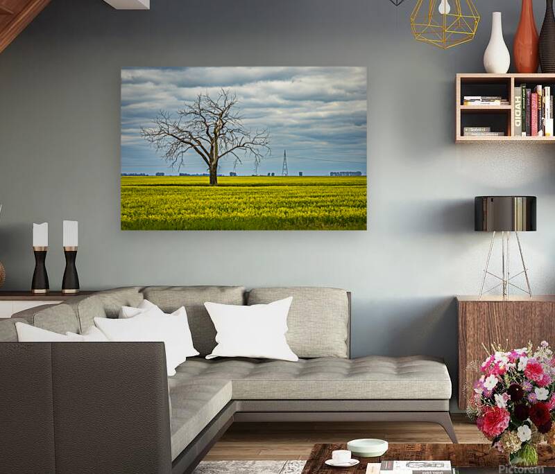 Solitude in Yellow Reproduction