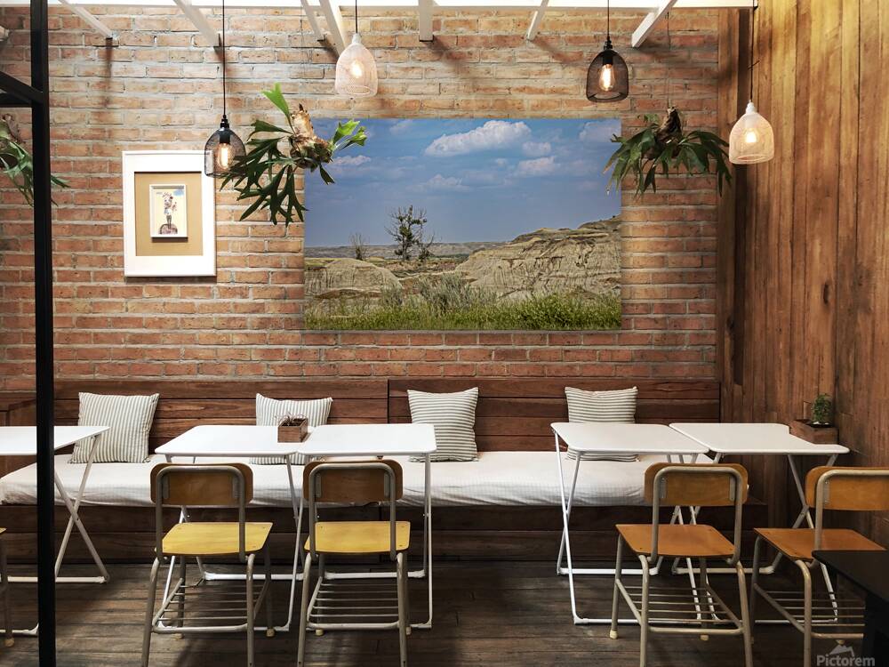 Lone Tree in the Badlands Reproduction