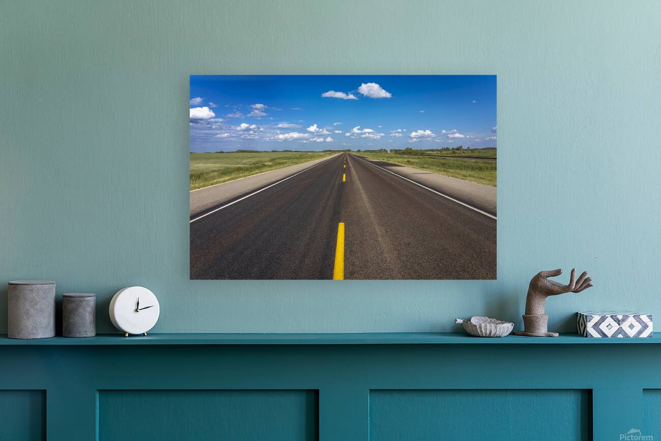 Road Freedom Reproduction