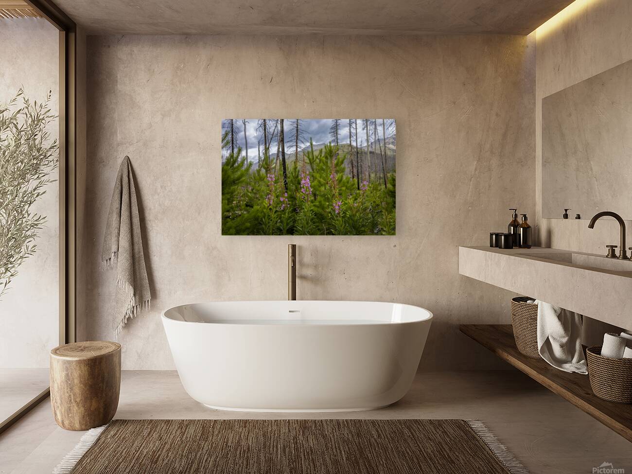 New Life Reproduction