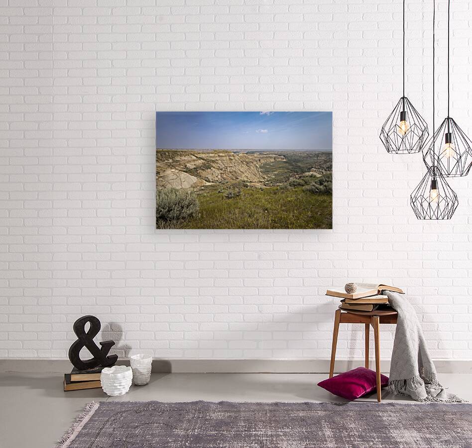 The Badlands Reproduction