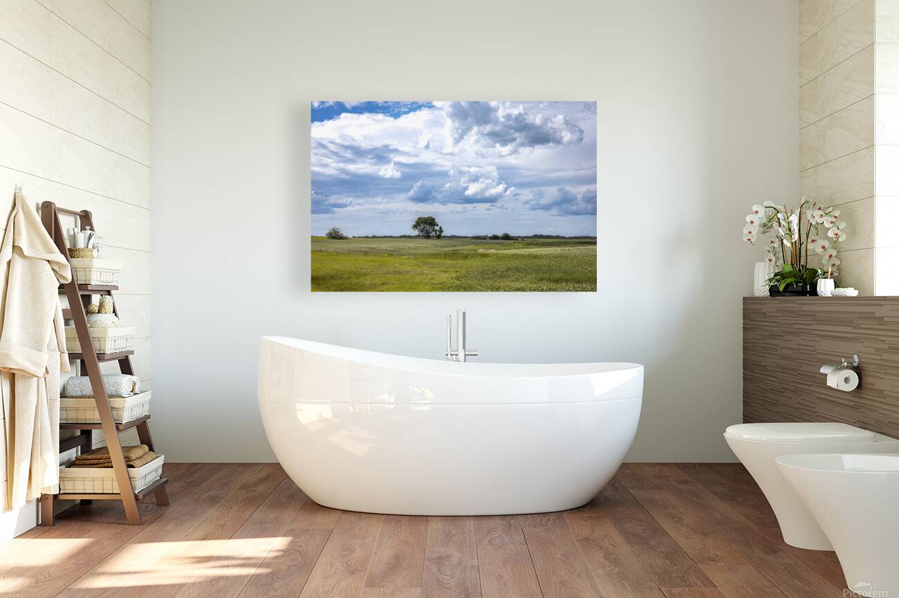 Lone Tree and Cloudy Sky Reproduction