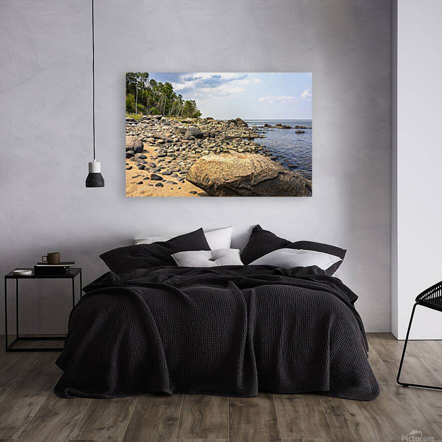 Rocky Beach Reproduction