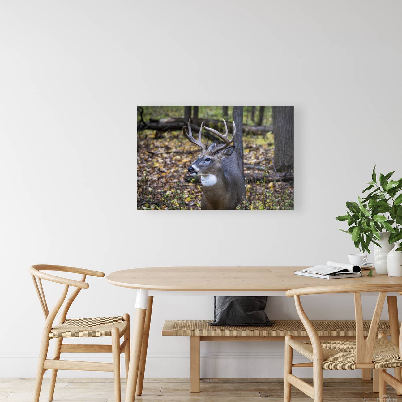 Antlers and Autumn: A Portrait of Natures Beauty Reproduction