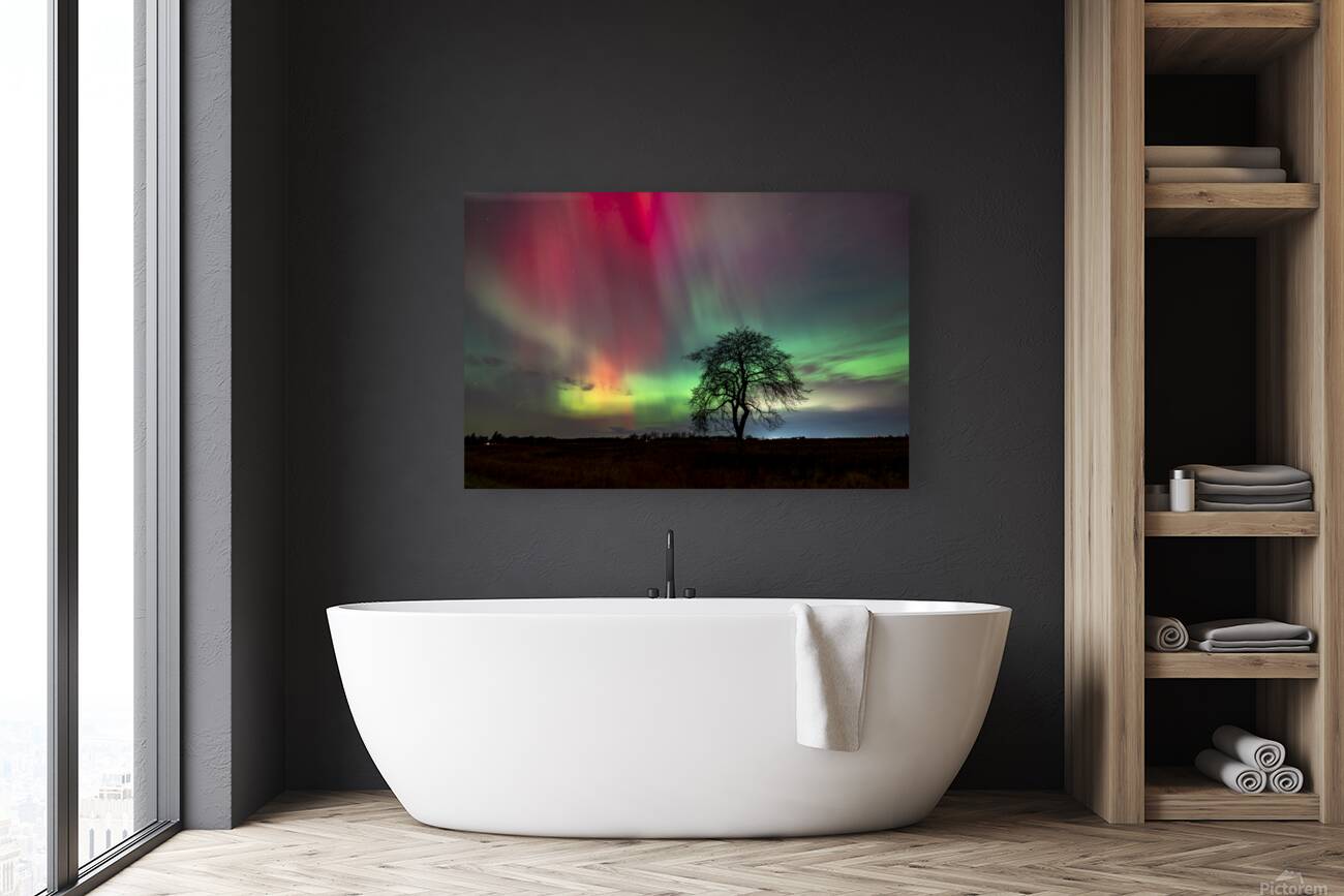 Aurora Dance Reproduction